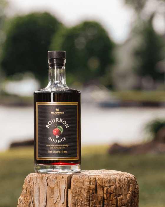 Mammoth Bourbon & Bounce Up North woods and lake